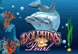 Dolphins Pearl