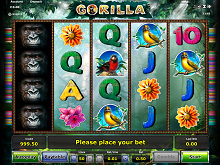 Gorilla Novoline Spielautomat Gratis spielen