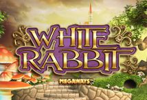 white-rabbit